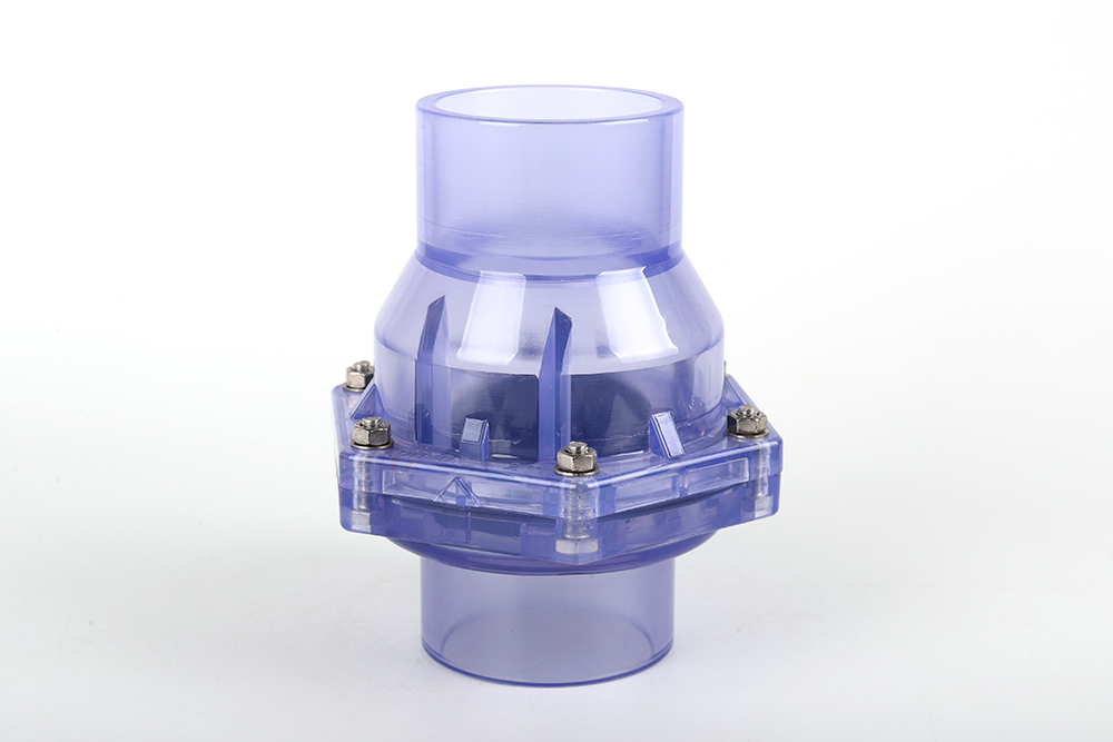 梅江透明翻板式止回阀